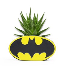 DC Comics - Batman Logo Shaped Vase (5261PLNTBM01)