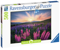 Ravensburger - Lupins 500p - (12000688) thumbnail-2