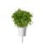 Click and Grow - Smart Garden Refill 3-pack - Dwarf Basil (SGR21X3) thumbnail-5