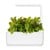 Click and Grow - Smart Garden Refill 3-pack - Bloody Sorrel (SGR33X3) thumbnail-3