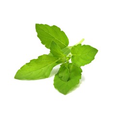 Click and Grow - Smart Garden Refill 3-pack - Holy Basil (SGR66X3)