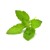 Click and Grow - Smart Garden Refill 3-pak - Holy Basil thumbnail-1