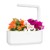 Click and Grow - Smart Garden Refill 3-pack - Busy Lizzie (SGR1X3) thumbnail-3
