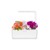 Click and Grow - Smart Garden Refill 3-pack - Busy Lizzie (SGR1X3) thumbnail-5