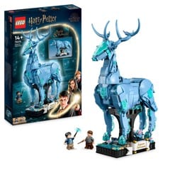 LEGO Harry Potter - Odotum suojelius (76414)