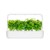 Click and Grow - Smart Garden Refill 3-pack - Cinnamon Basil (SGR71X3) thumbnail-2