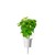Click and Grow - Smart Garden Refill 3-pack - Cinnamon Basil (SGR71X3) thumbnail-3