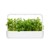 Click and Grow - Smart Garden Refill 3-pack - Apple Mint (SGR79X3) thumbnail-3