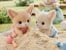 Sylvanian Families - Fennec Fox Twins (5697) thumbnail-3