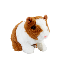 Happy Pets - Guinea Pig  (31511174)