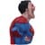 Superman DCeased Bust 30cm thumbnail-3