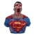 Superman DCeased Bust 30cm thumbnail-1