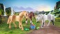 Playmobil - 3 heste: Morgan, Quarter Horse & Shagya Araber (71356) thumbnail-4