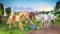Playmobil - 3 Pferde: Morgan, Quarter Horse & Shagya Araber (71356) thumbnail-4