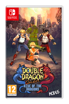 Double Dragon Gaiden: Rise of the Dragons