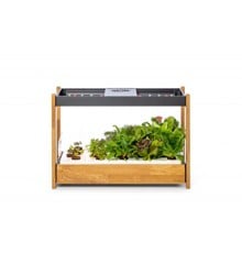 Click and Grow - Smart Garden 25 - Black (Salad Greens 54x pack)