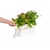 Click and Grow - Smart Garden 25 - Black (Salad Greens 54x pack) thumbnail-5