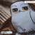 HARRY POTTER - Cushion - Hedwig thumbnail-4