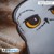 HARRY POTTER - Cushion - Hedwig thumbnail-10