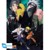 NARUTO SHIPPUDEN - Set 2 Posters - Ninjas (52x38) thumbnail-3