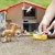 Schleich - Farm World - Veterinarian practice with pets (42502) thumbnail-8