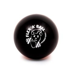 Flex-A-Ball Workout Game