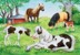 Ravensburger - World of Horses - 2x24p thumbnail-2