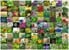 Ravensburger - 99 Herbs And Spices 1000p - 15991 thumbnail-2