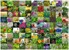 Ravensburger - 99 Herbs And Spices 1000p thumbnail-2