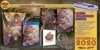 Brigandine: The Legend of Runersia - Collectors Edition (Limited Run)(Import) thumbnail-2