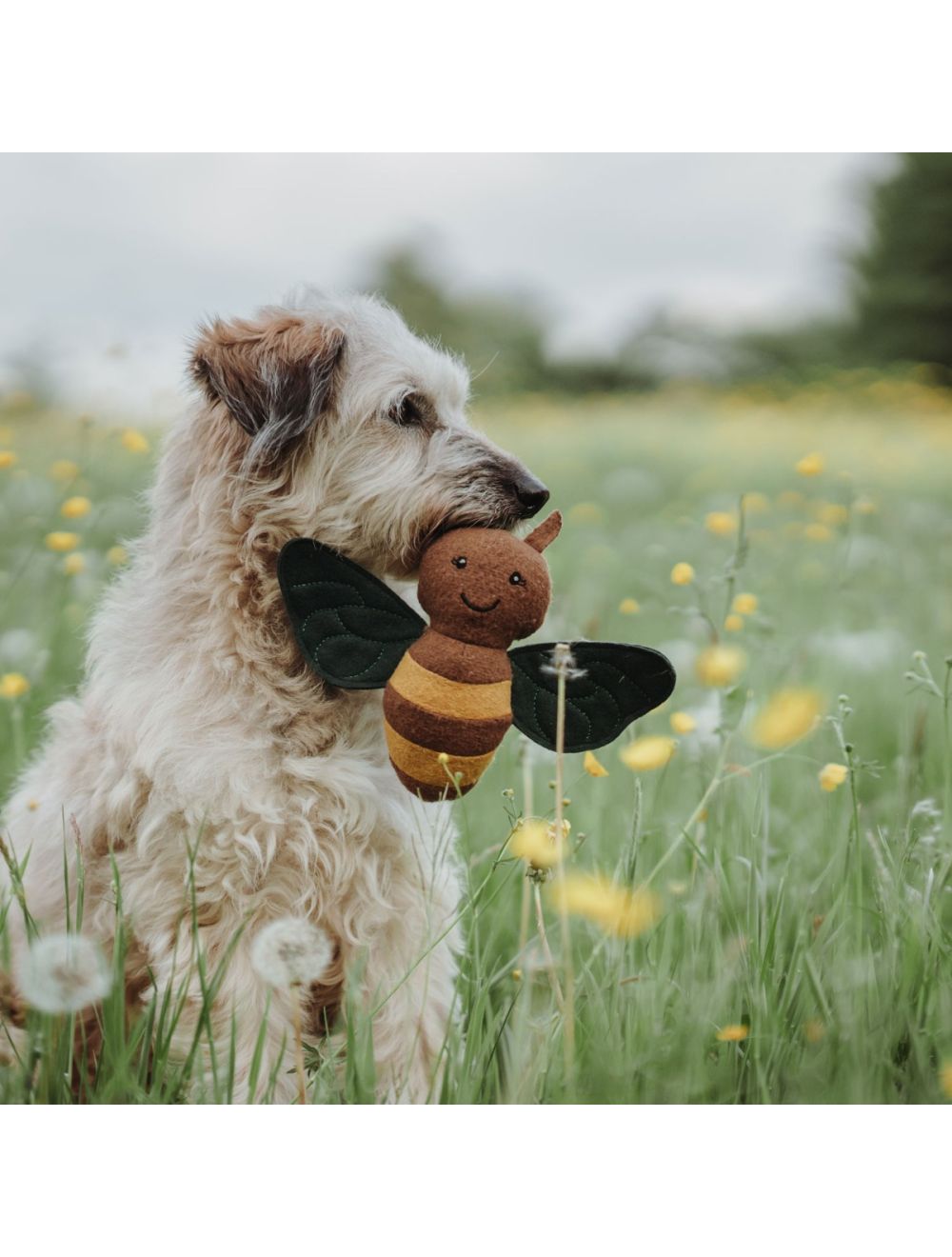 Hunter - Dog toy Florenz, Bee - (69305) - Kjæledyr og utstyr