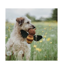 Hunter - Dog toy Florenz, Bee - (69305)