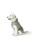 Hunter - Hunde Regnjakke Milford 25, grøn thumbnail-5
