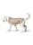 Hunter - Hunde Regnjakke Milford 25, taupe thumbnail-4