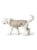 Hunter - Hunde Regnjakke Milford 40, taupe thumbnail-5