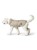 Hunter - Hunde Regnjakke  Milford 80, taupe thumbnail-4