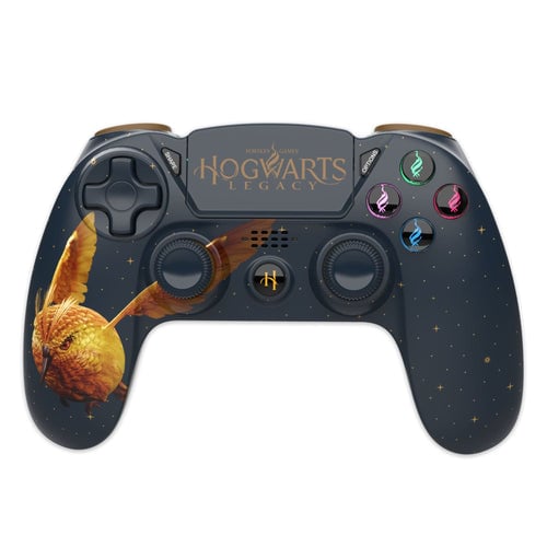 Trade Invaders Harry Potter: Hogwarts Legacy - Golden Snidget - Videospill og konsoller