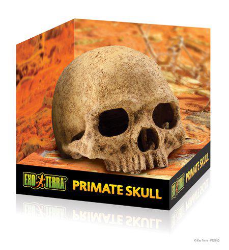EXOTERRA - Cave Skull - (222.2055) - Kjæledyr og utstyr