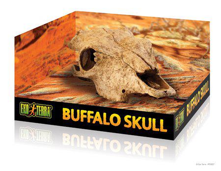 EXOTERRA - Cave Buffalo Skull - (222.2057) - Kjæledyr og utstyr
