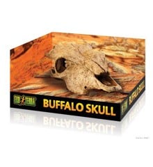 EXOTERRA - Cave Buffalo Skull  - (222.2057)