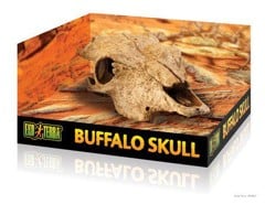 EXOTERRA - Cave Buffalo Skull  - (222.2057)