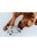 Hunter - Dog toy  Fyn Hamster 20 cm  - (69725) thumbnail-2