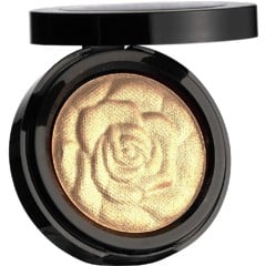 Sandstone - Don't Hide Highlighter 300 Silver