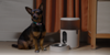 Aqara Pet Feeder C1 - Automatisk matstation för dina husdjur thumbnail-6