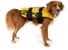 Ezydog - Life jacket yellow xs 7 - 11 kg thumbnail-1