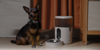 Aqara - Pet Feeder C1 - Automatic Feeder for Your Pets + Camera hub G3 - Bundle thumbnail-7