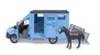 Bruder - MB Sprinter Animal Transporter & 1 horse (02674) thumbnail-5