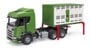 Bruder - Scania Super 560R Cattle transportation truck with 1 cattle (03548) thumbnail-4