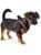 Hunter - Dog harness Hilo Comfort XXS-XS, rosa - (401673969788) thumbnail-3