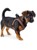Hunter - Dog harness Hilo Comfort. XS, rosa - (401673969789) thumbnail-3